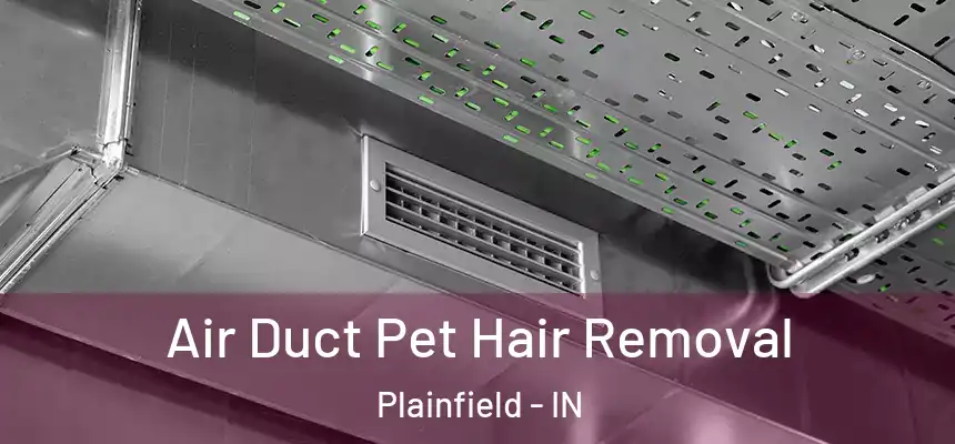  Air Duct Pet Hair Removal Plainfield - IN