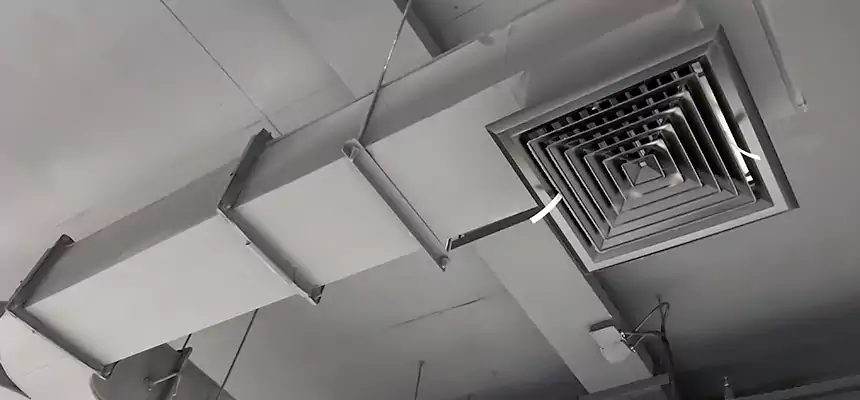 Restorative Allergy Relief Vent Cleaning – Coil, Blower & Housing Detail in Plainfield