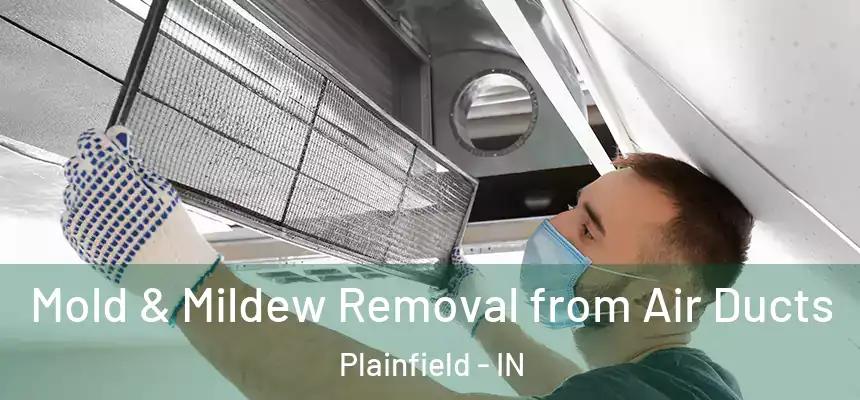 Mold & Mildew Removal from Air Ducts Plainfield - IN