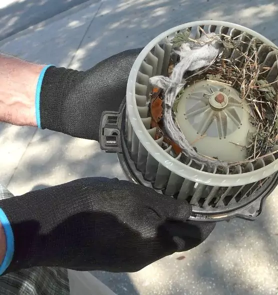 About Air Duct Mice Removal in Plainfield, IN