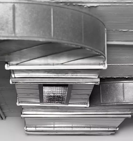 Professional Air Duct Pest Removal in Plainfield, IN