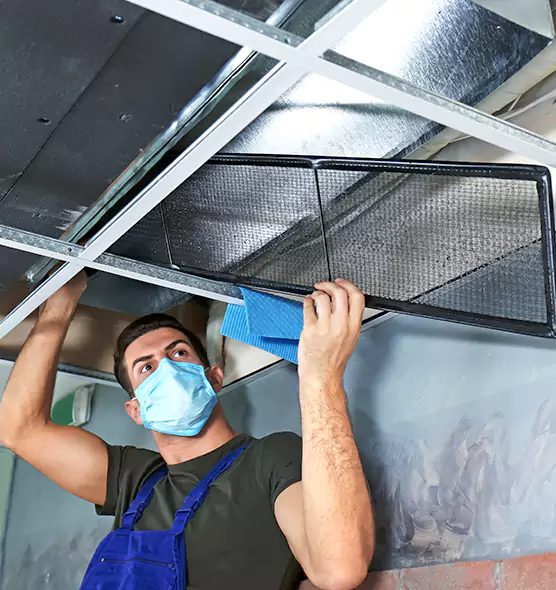 Professional Air Duct Pollen Cleaning in Plainfield, IN