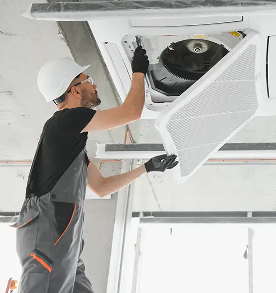 About Air Duct Rodent Removal in Plainfield, IN