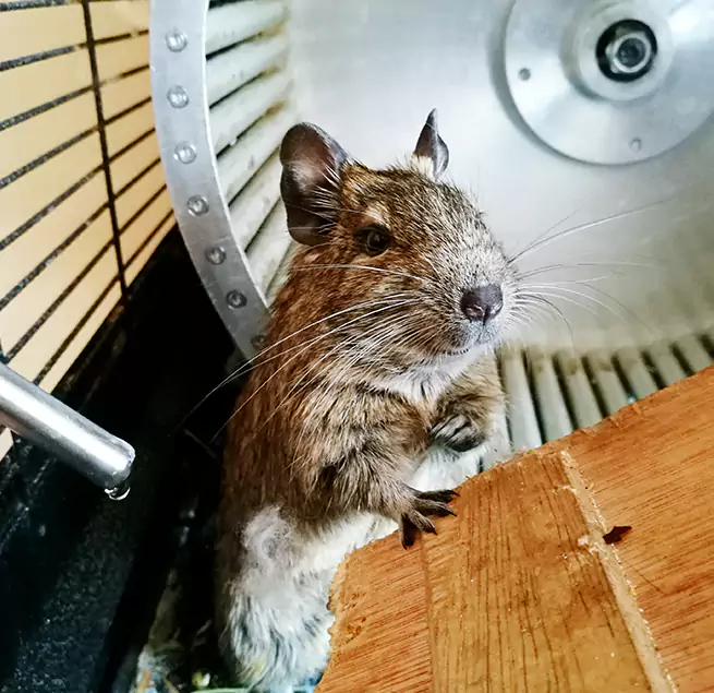 Why Homeowners & Businesses Trust Us Plainfield, IN