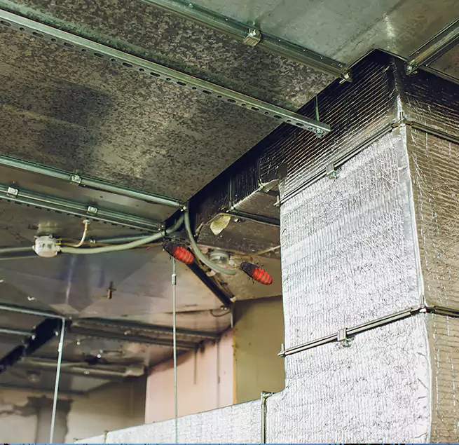 Why Homeowners & Businesses Trust Us Plainfield, IN?