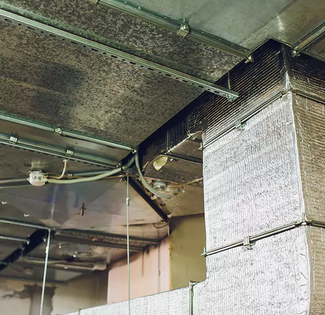 Why Homeowners & Businesses Trust Us in Plainfield, IN?